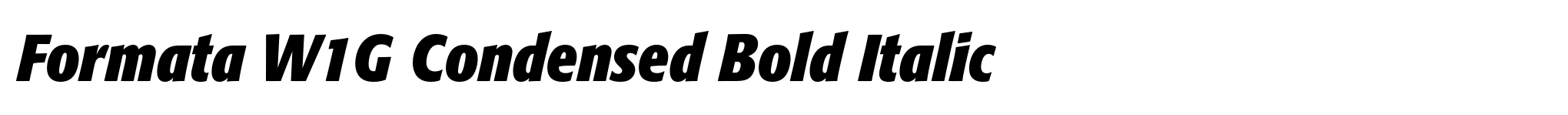 Formata W1G Condensed Bold Italic image